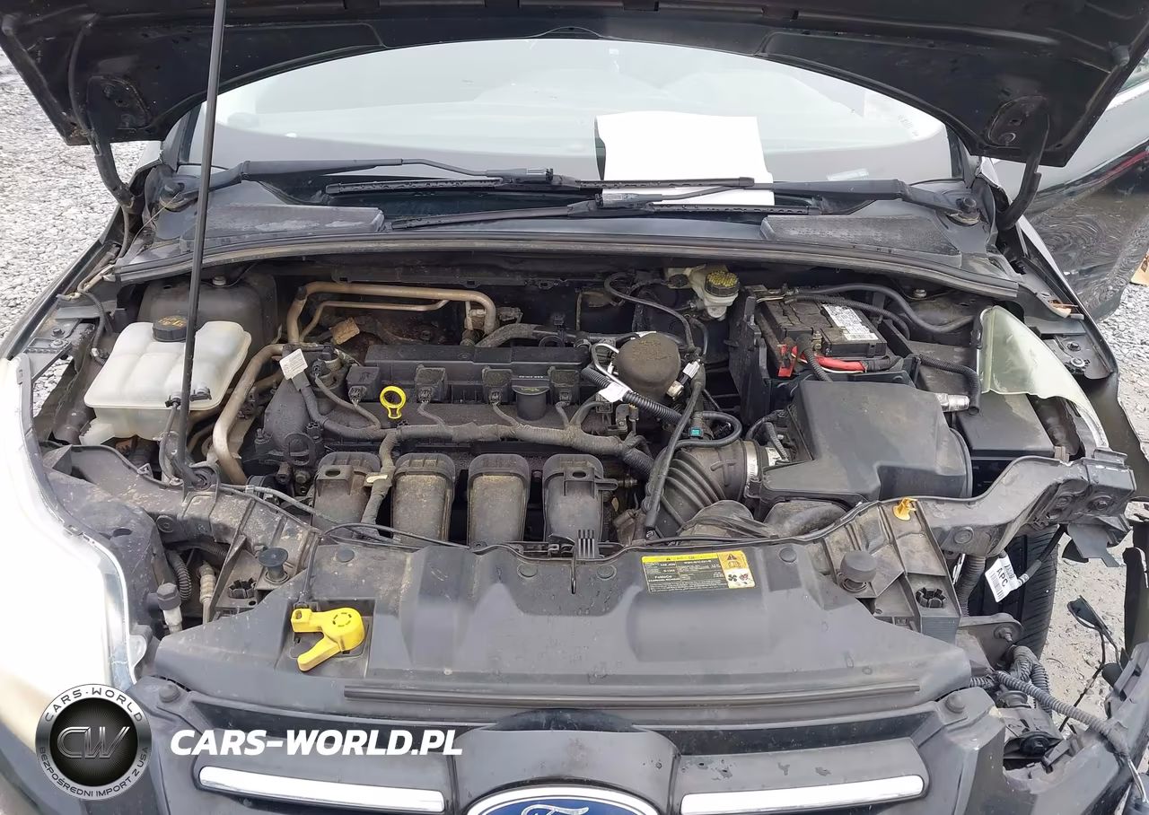 2012 Ford Focus Sel VIN:1FAHP3H21CL247655 - 10