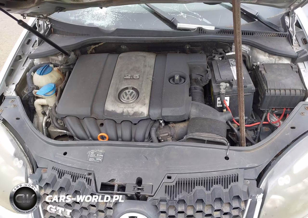 2006 Volkswagen Jetta 2.5 VIN:3VWRF71K96M712413 - 10