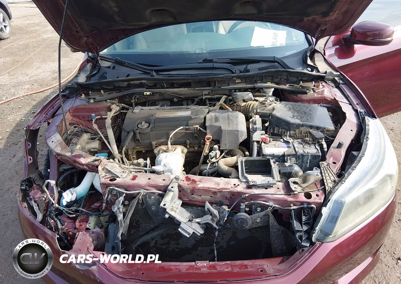2013 Honda Accord Ex-L VIN:1HGCR2F88DA272647 - 10
