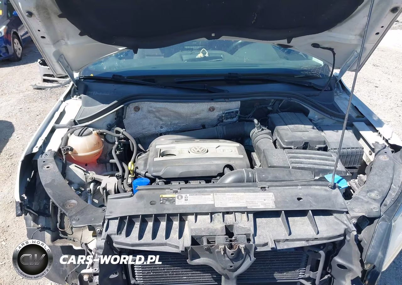 2015 Volkswagen Tiguan S VIN:WVGBV7AX0FW566417 - 10