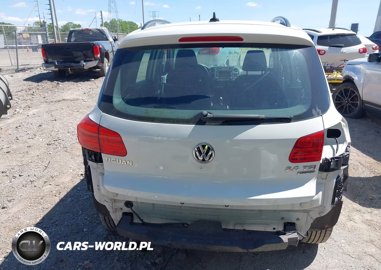 2015 Volkswagen Tiguan S VIN:WVGBV7AX0FW566417 - 17