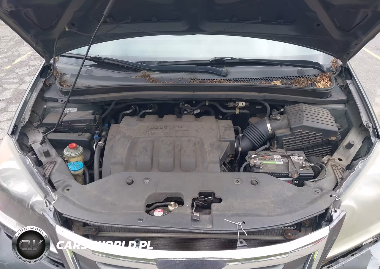 2010 Honda Odyssey Lx VIN:5FNRL3H29AB105483 - 10