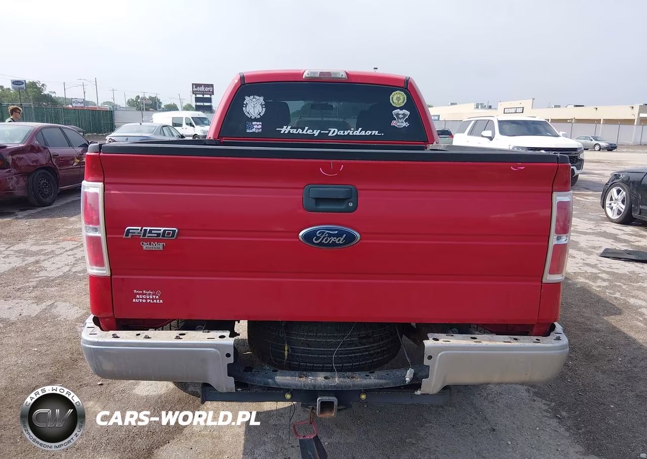 2010 Ford F-150 Fx2 Sport-Stx-Xl-Xlt VIN:1FTEX1C83AFA29399 - 17