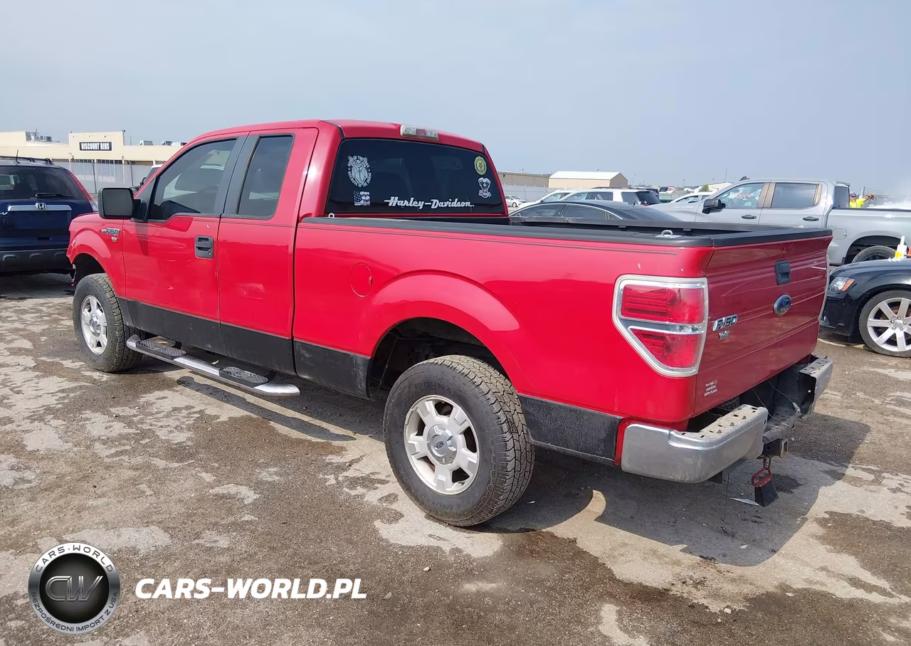 2010 Ford F-150 Fx2 Sport-Stx-Xl-Xlt VIN:1FTEX1C83AFA29399 - 3