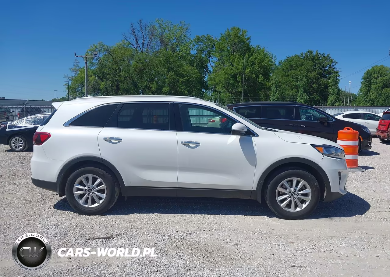2019 Kia Sorento 2.4L Lx VIN:5XYPG4A36KG596593 - 13