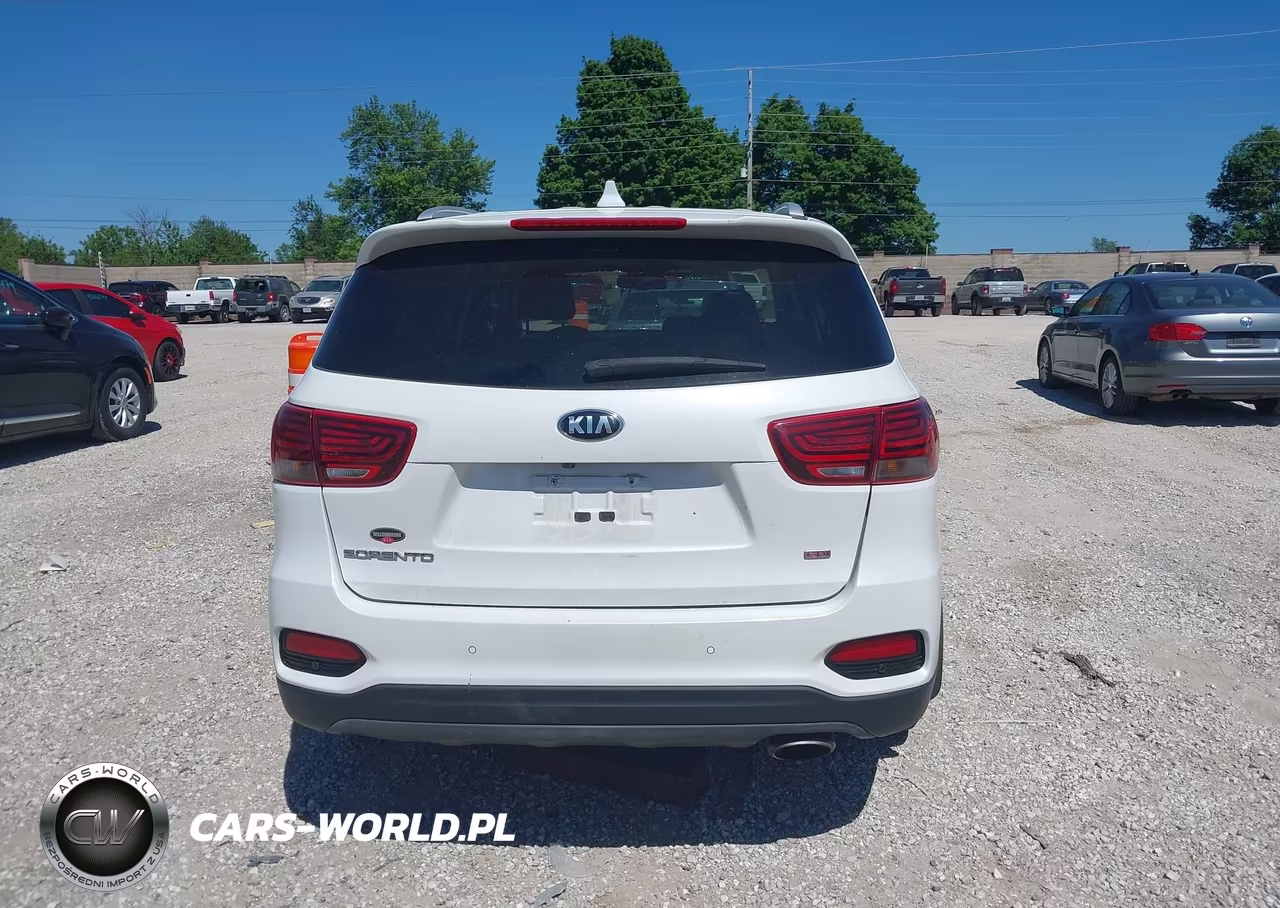 2019 Kia Sorento 2.4L Lx VIN:5XYPG4A36KG596593 - 16