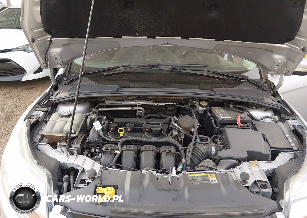 2013 Ford Focus Titanium VIN:1FADP3N23DL177970 - 10