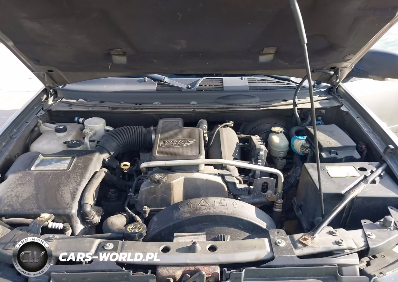 2008 Chevrolet Trailblazer Lt VIN:1GNDT13S982238691 - 10
