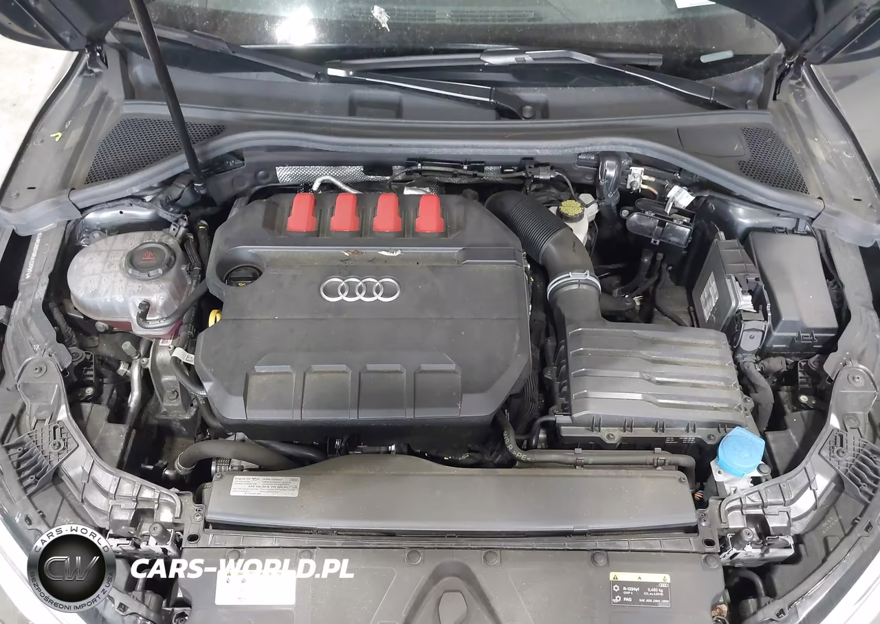 2024 Audi S3 Premium Plus Tfsi Quattro S Tronic VIN:WAUH3DGY0RA137974 - 10