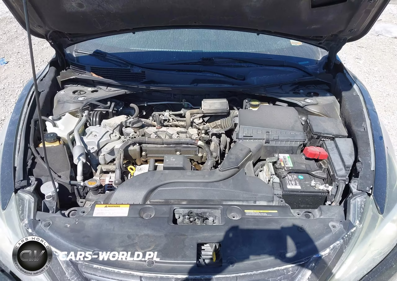 2016 Nissan Altima 2.5 VIN:1N4AL3AP6GC158561 - 10