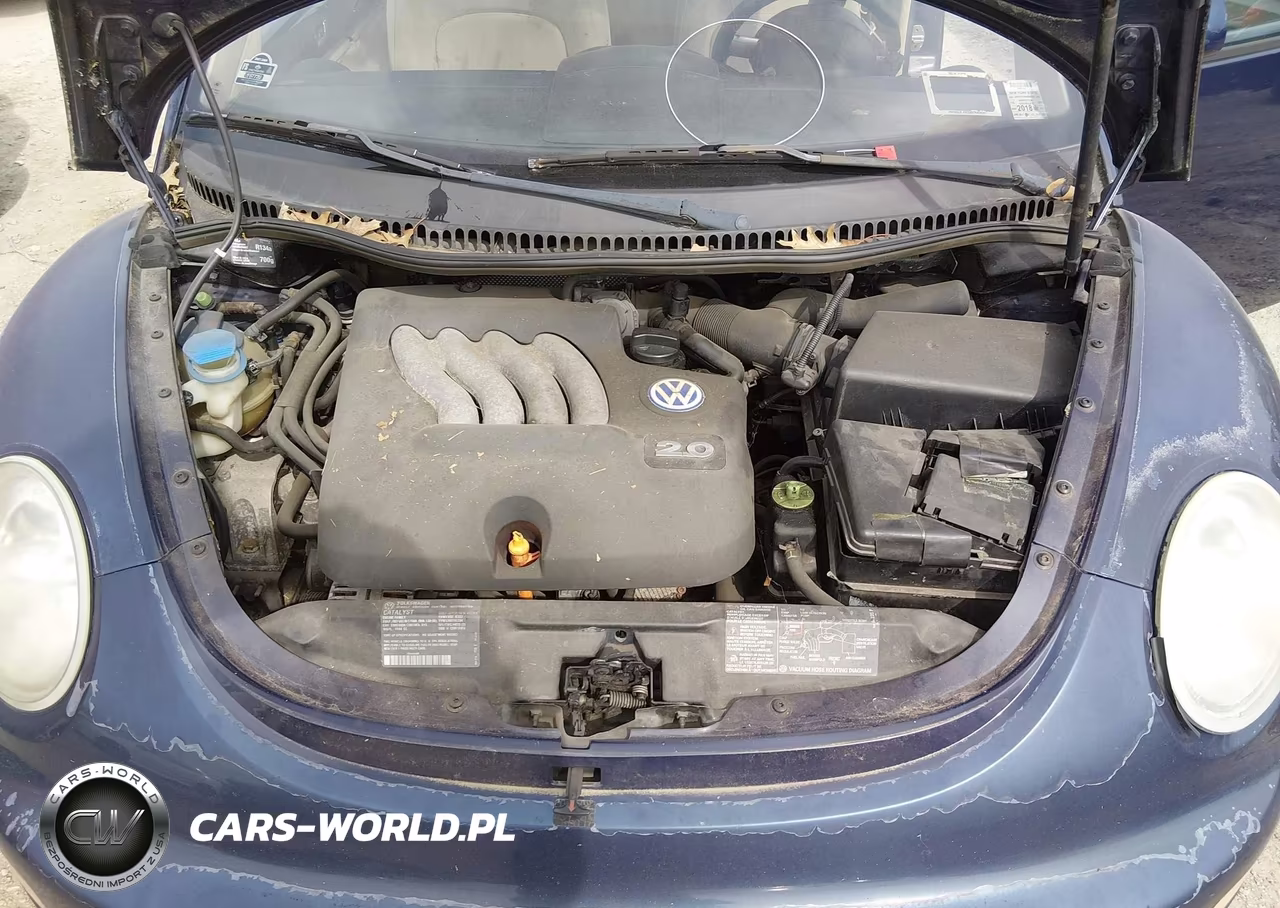 2000 Volkswagen New Beetle Gl VIN:3VWBA21CXYM498417 - 10