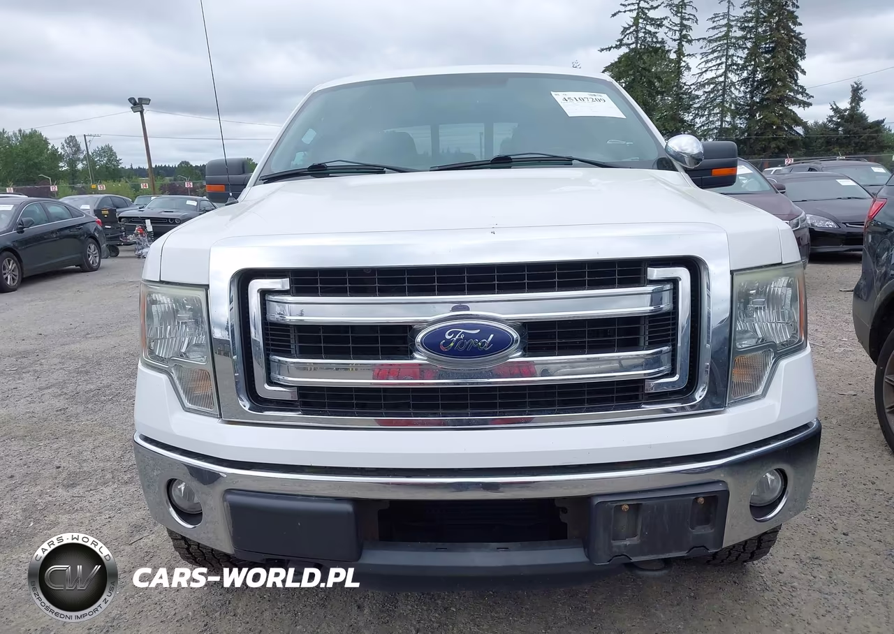 2013 Ford F-150 Xlt VIN:1FTFW1ET3DKE99856 - 12