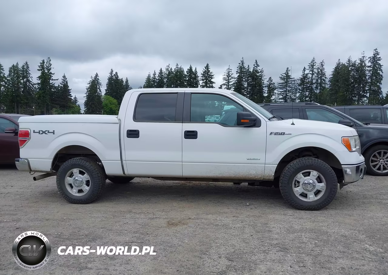 2013 Ford F-150 Xlt VIN:1FTFW1ET3DKE99856 - 13