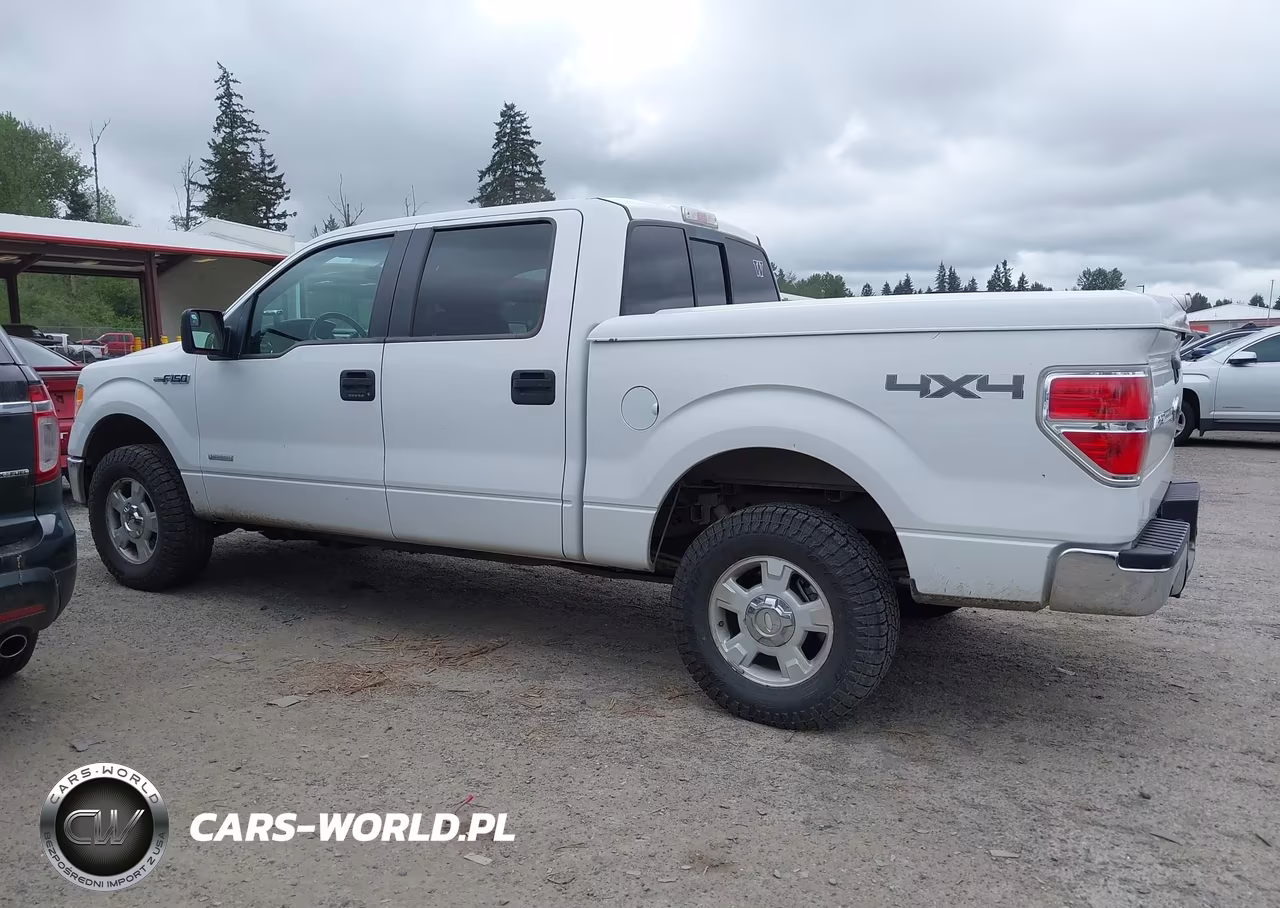 2013 Ford F-150 Xlt VIN:1FTFW1ET3DKE99856 - 14