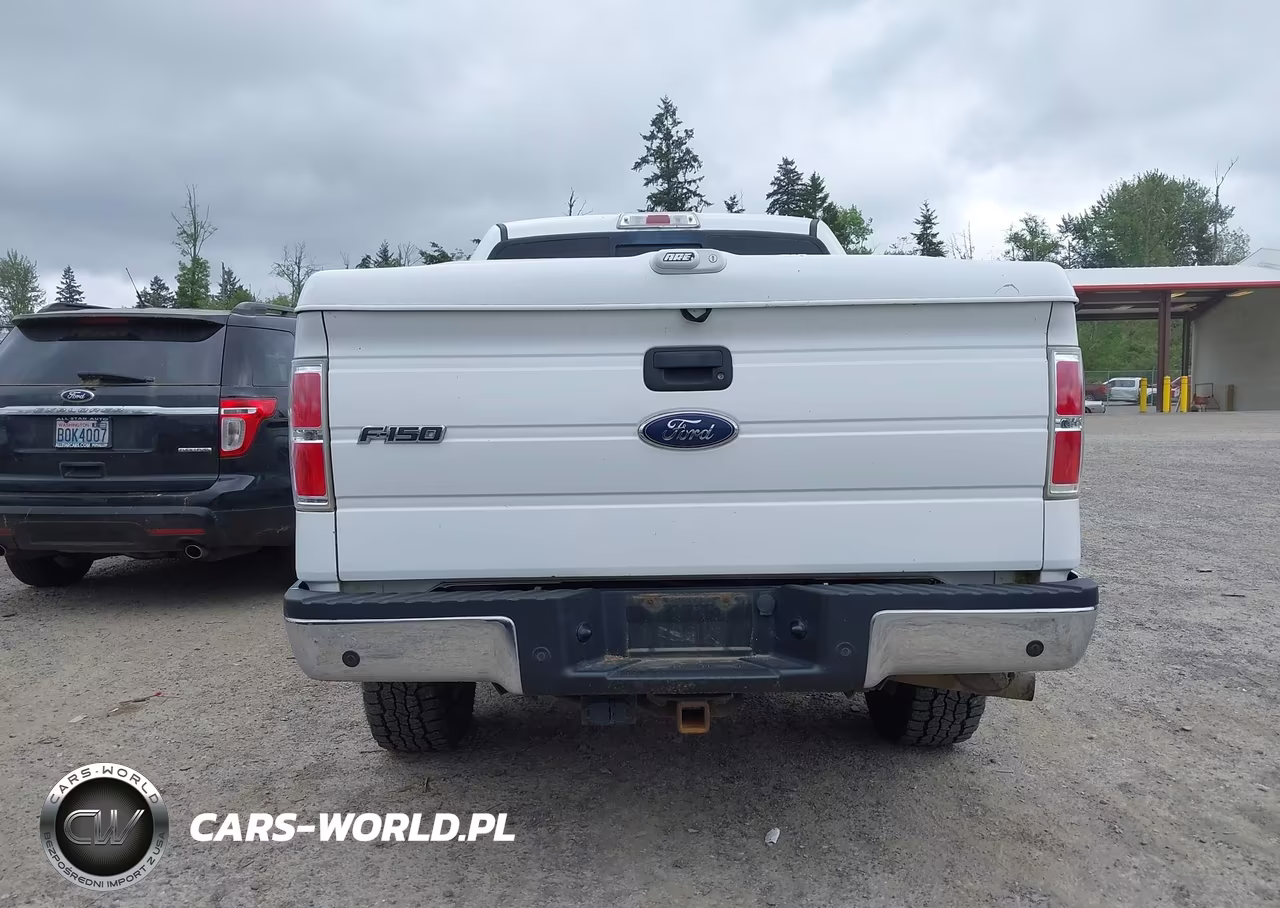 2013 Ford F-150 Xlt VIN:1FTFW1ET3DKE99856 - 16
