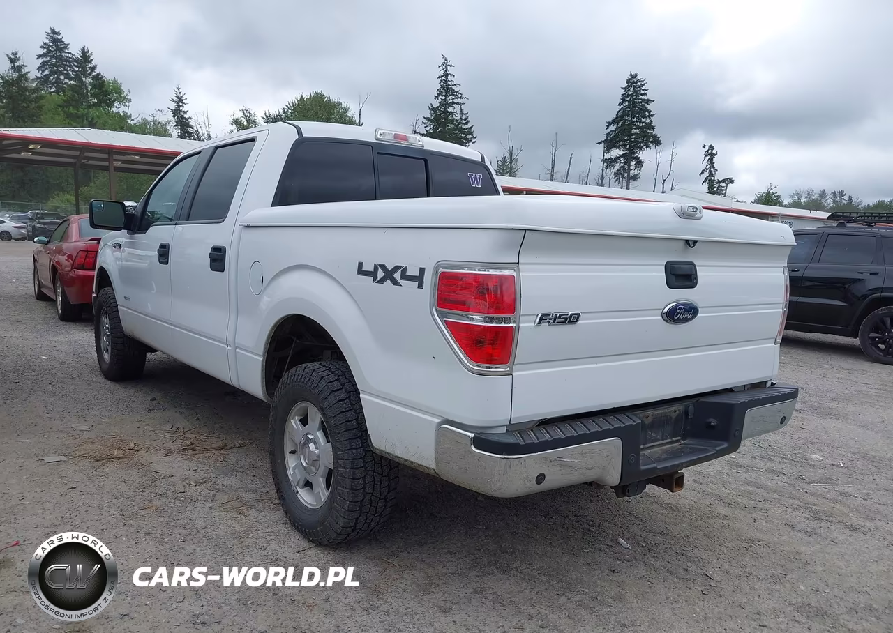 2013 Ford F-150 Xlt VIN:1FTFW1ET3DKE99856 - 3