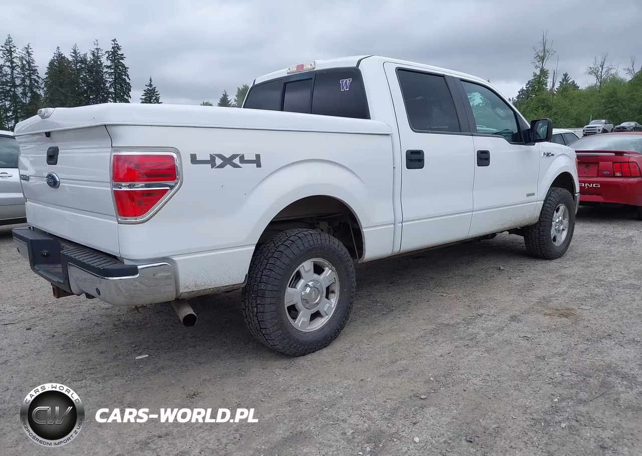 2013 Ford F-150 Xlt VIN:1FTFW1ET3DKE99856 - 4
