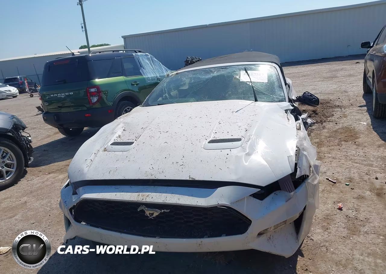 2020 Ford Mustang Ecoboost Premium VIN:1FATP8UH8L5113604 - 12