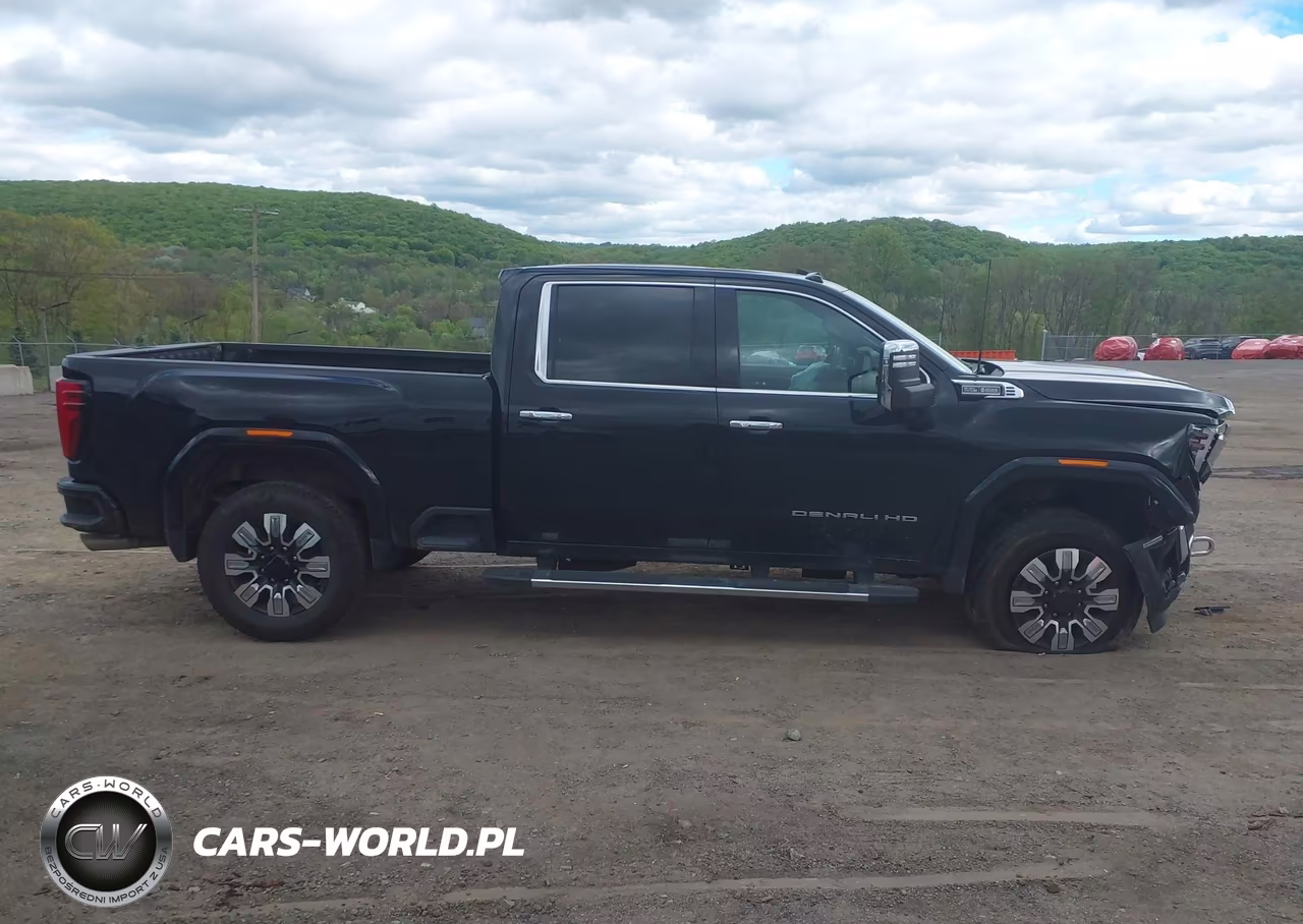 2025 GMC Sierra 2500Hd 4Wd Standard Bed Denali VIN:1GT4URE78SF155556 - 13
