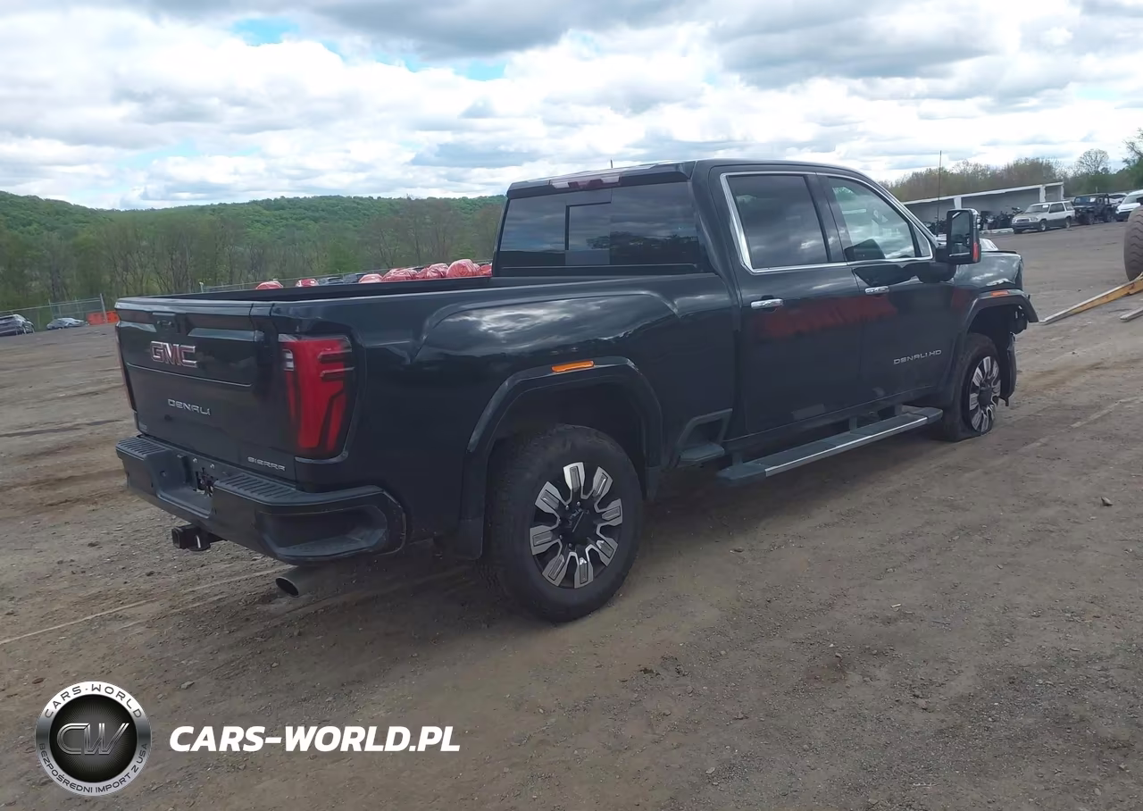 2025 GMC Sierra 2500Hd 4Wd Standard Bed Denali VIN:1GT4URE78SF155556 - 4
