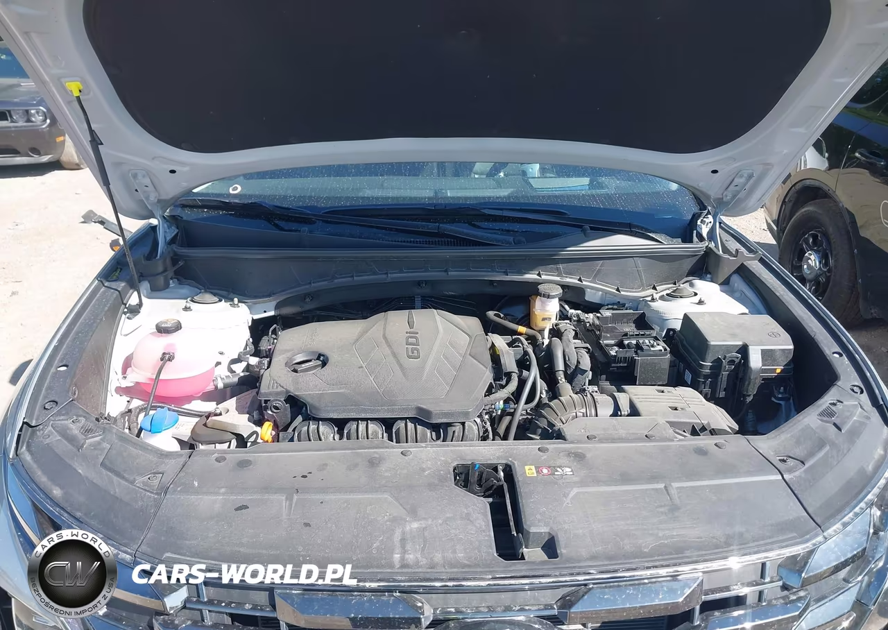 2025 Hyundai Tucson Limited VIN:5NMJE3DE0SH489208 - 10