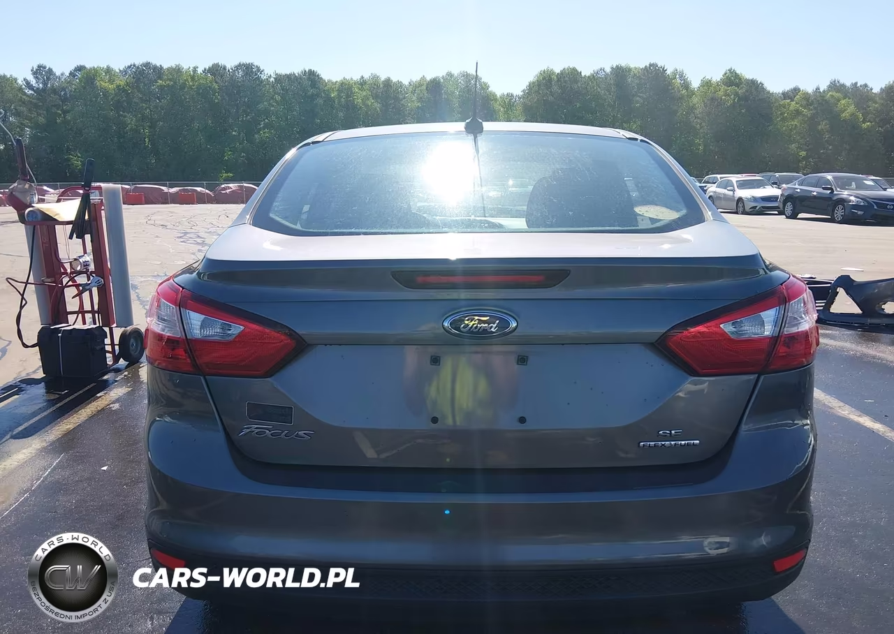 2014 Ford Focus Se VIN:1FADP3F26EL234081 - 17