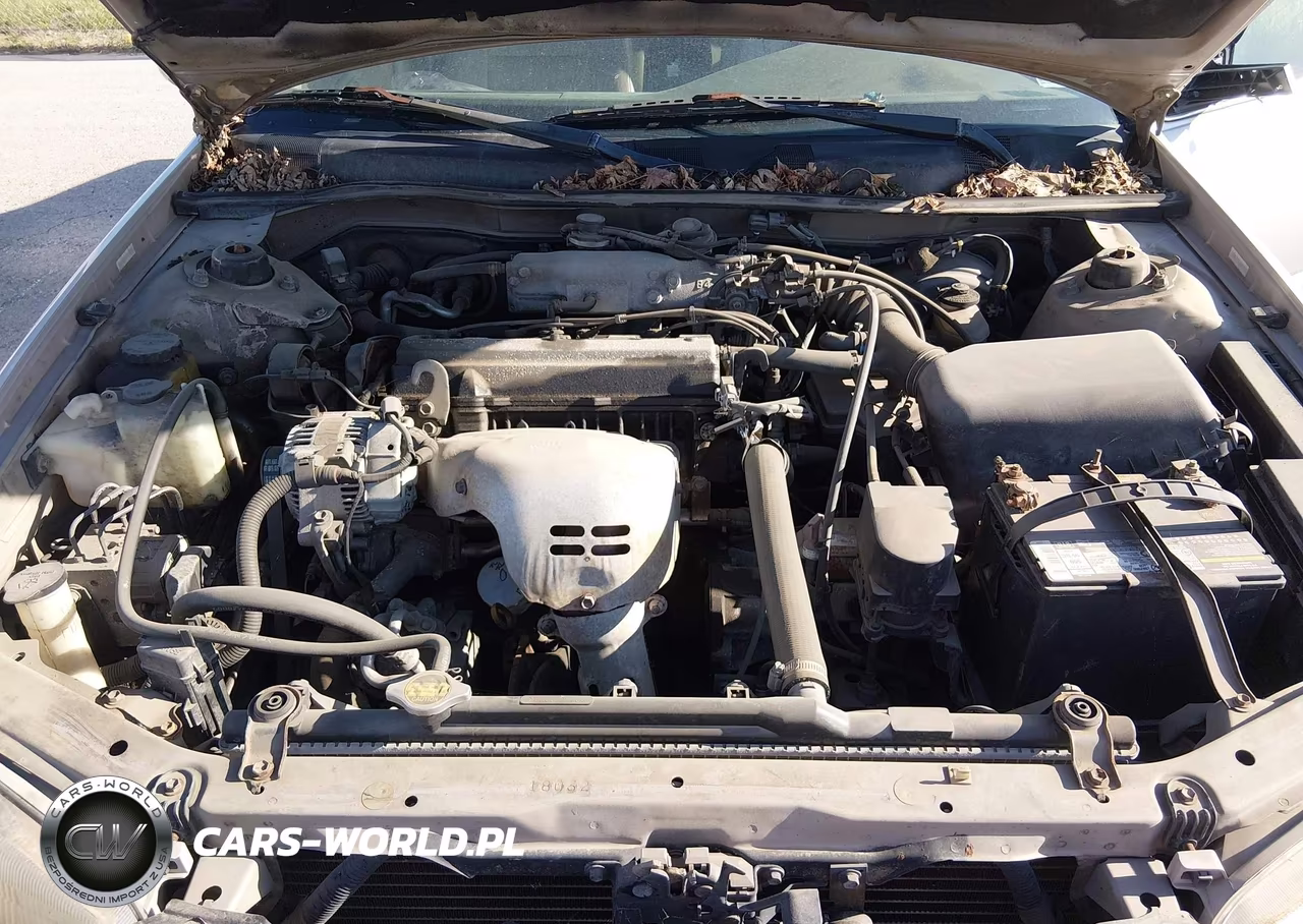 1998 Toyota Camry Le VIN:4T1BG22K3WU285028 - 10