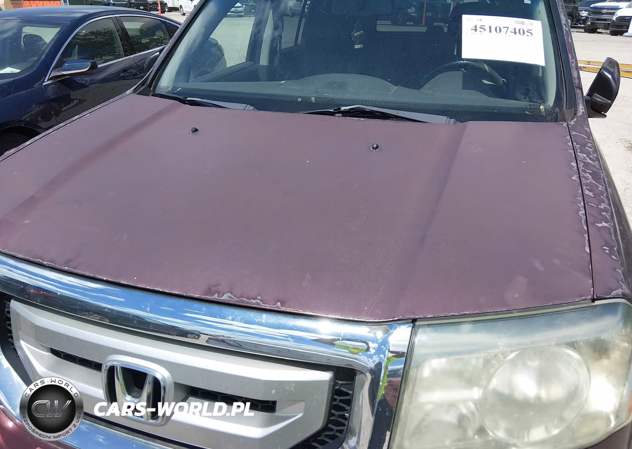2010 Honda Pilot Ex-L VIN:5FNYF4H68AB007265 - 17