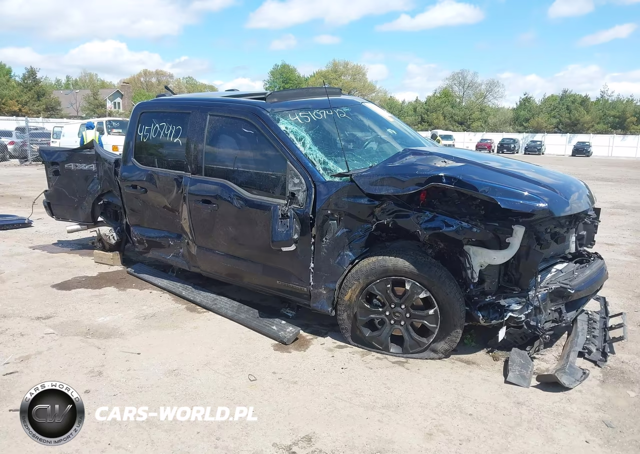 2022 Ford F-150 Platinum – zdjęcie 1 z 17