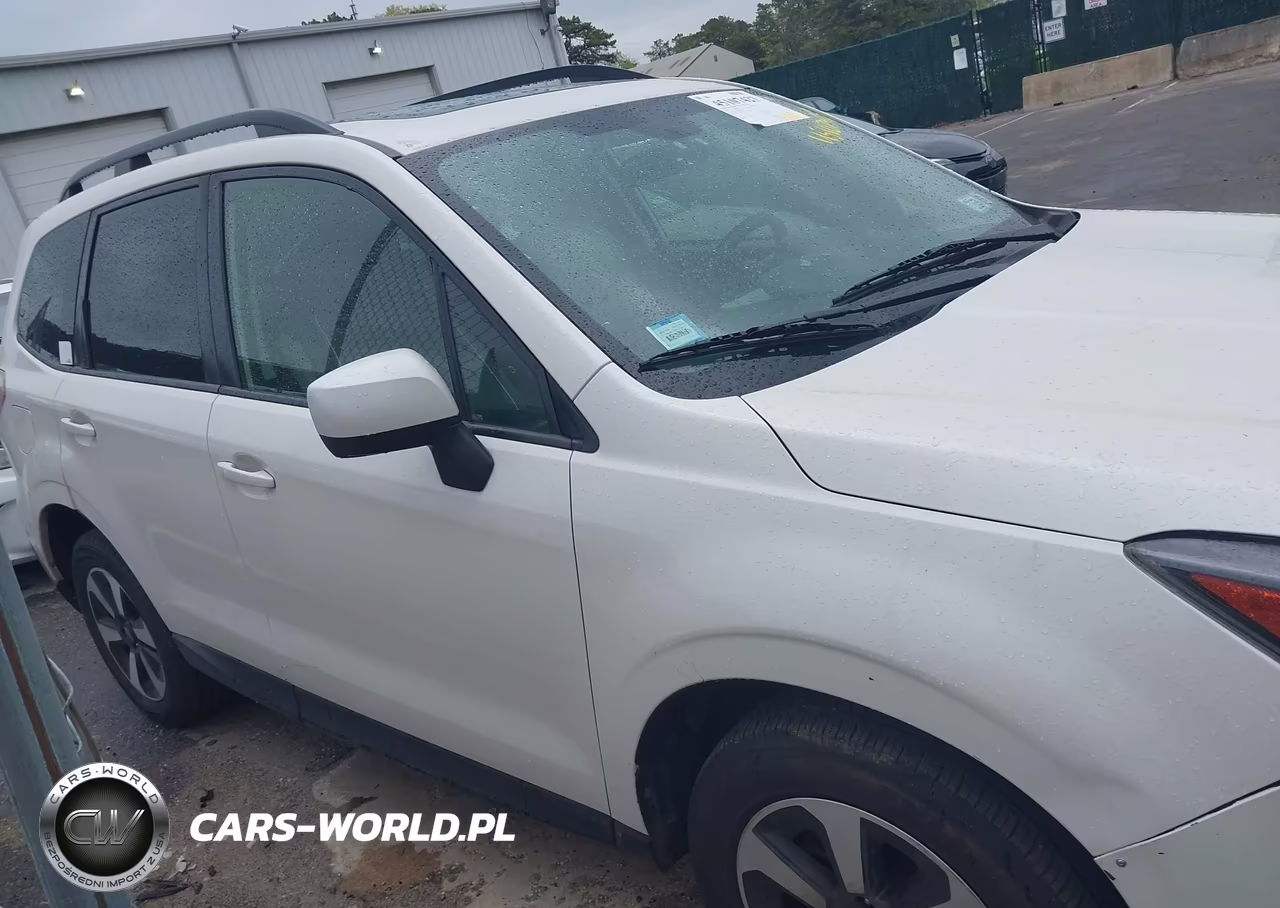 2017 Subaru Forester 2.5I Premium VIN:JF2SJAGCXHH805949 - 13