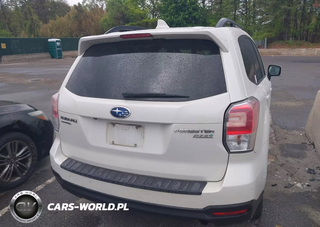 2017 Subaru Forester 2.5I Premium VIN:JF2SJAGCXHH805949 - 16