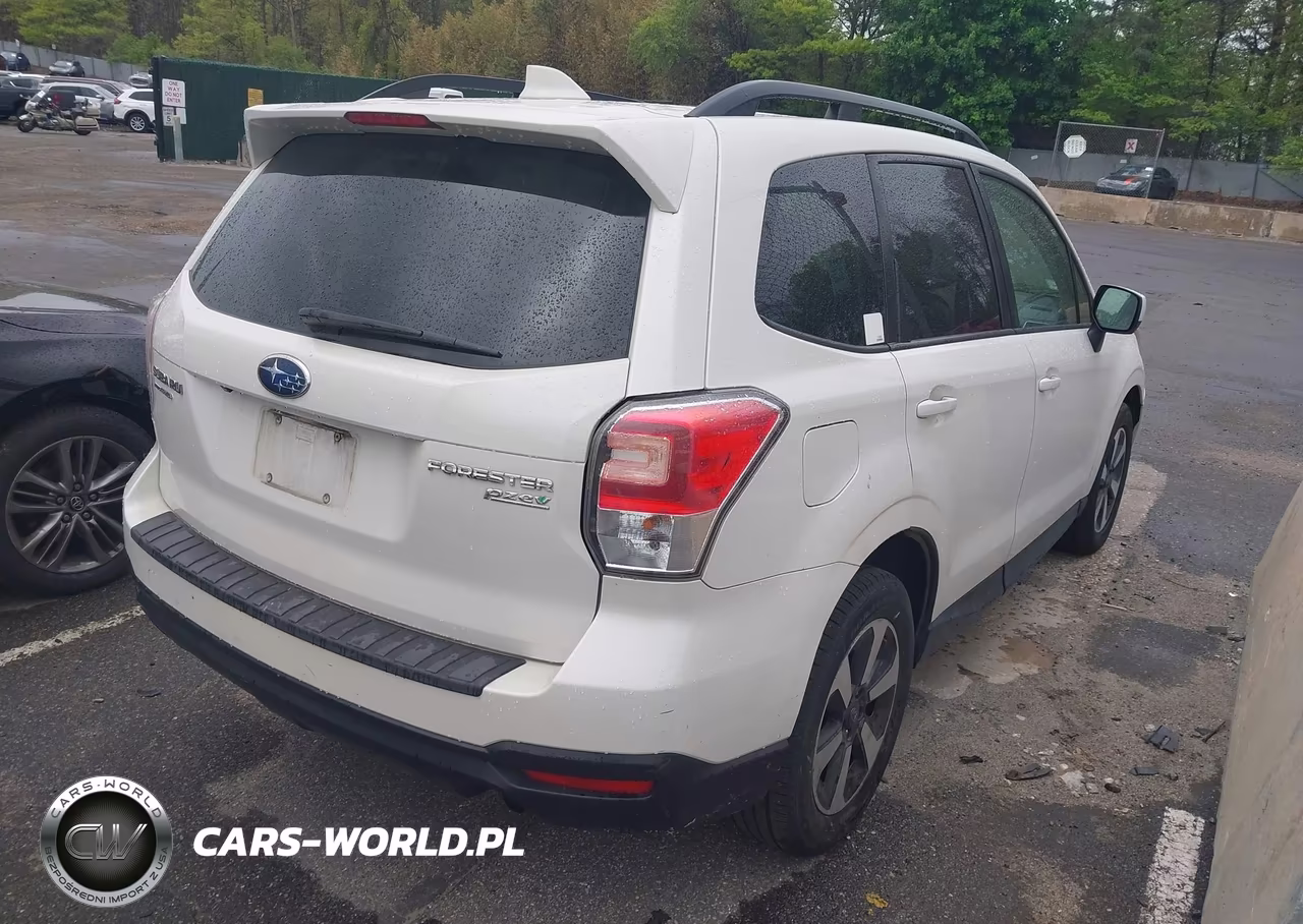 2017 Subaru Forester 2.5I Premium VIN:JF2SJAGCXHH805949 - 4