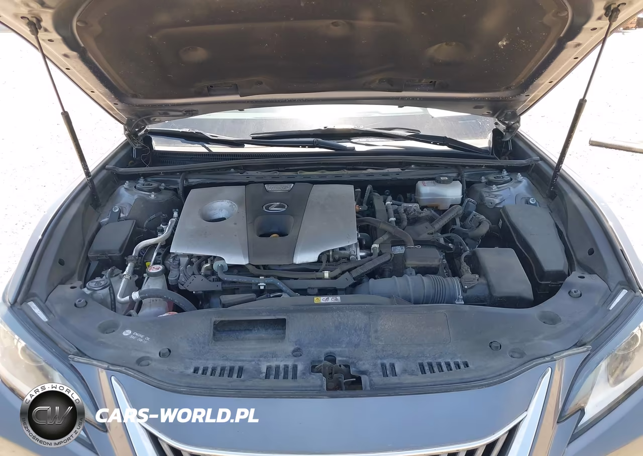 2021 Lexus Es 300H VIN:58ADA1C18MU009444 - 10
