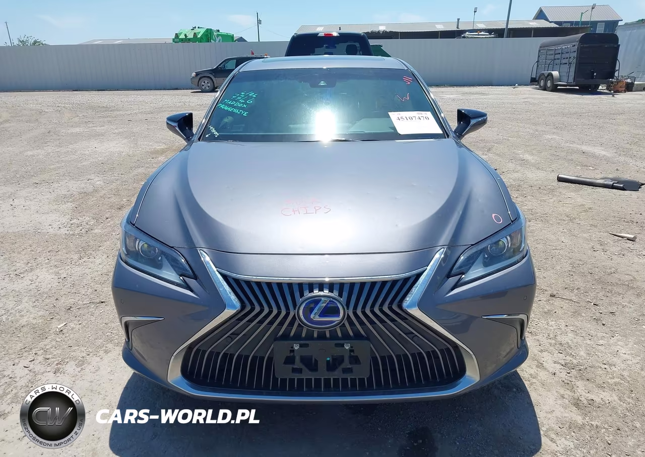 2021 Lexus Es 300H VIN:58ADA1C18MU009444 - 12