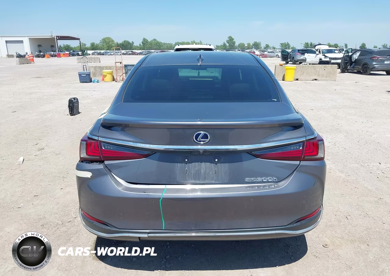 2021 Lexus Es 300H VIN:58ADA1C18MU009444 - 16