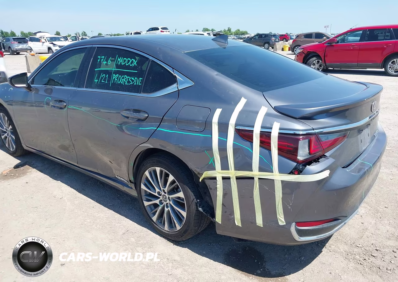 2021 Lexus Es 300H VIN:58ADA1C18MU009444 - 6