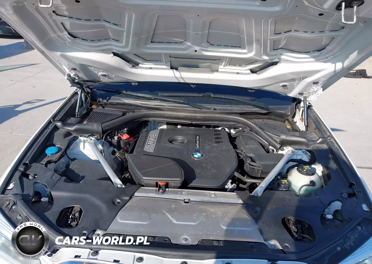 2019 BMW X3 Sdrive30I VIN:5UXTR7C51KLR47518 - 10