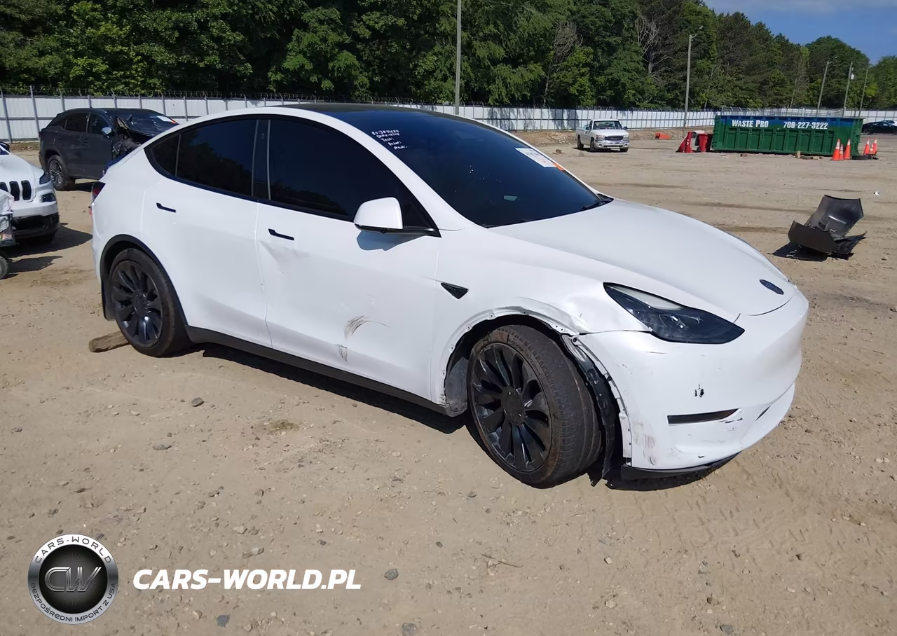 2022 Tesla Model Y Performance Dual Motor All-Wheel Drive