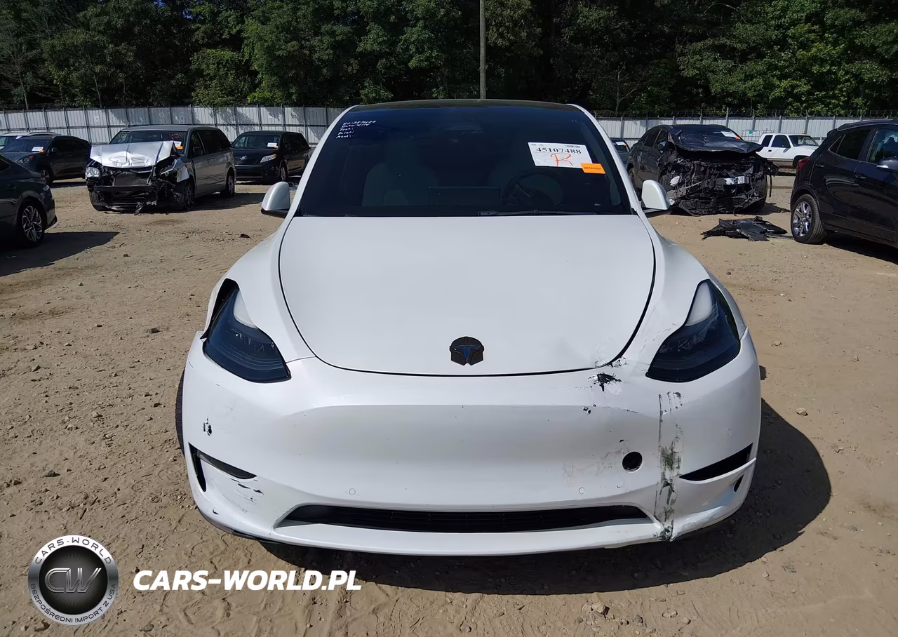 2022 Tesla Model Y Performance Dual Motor All-Wheel Drive VIN:7SAYGDEF2NF521753 - 12