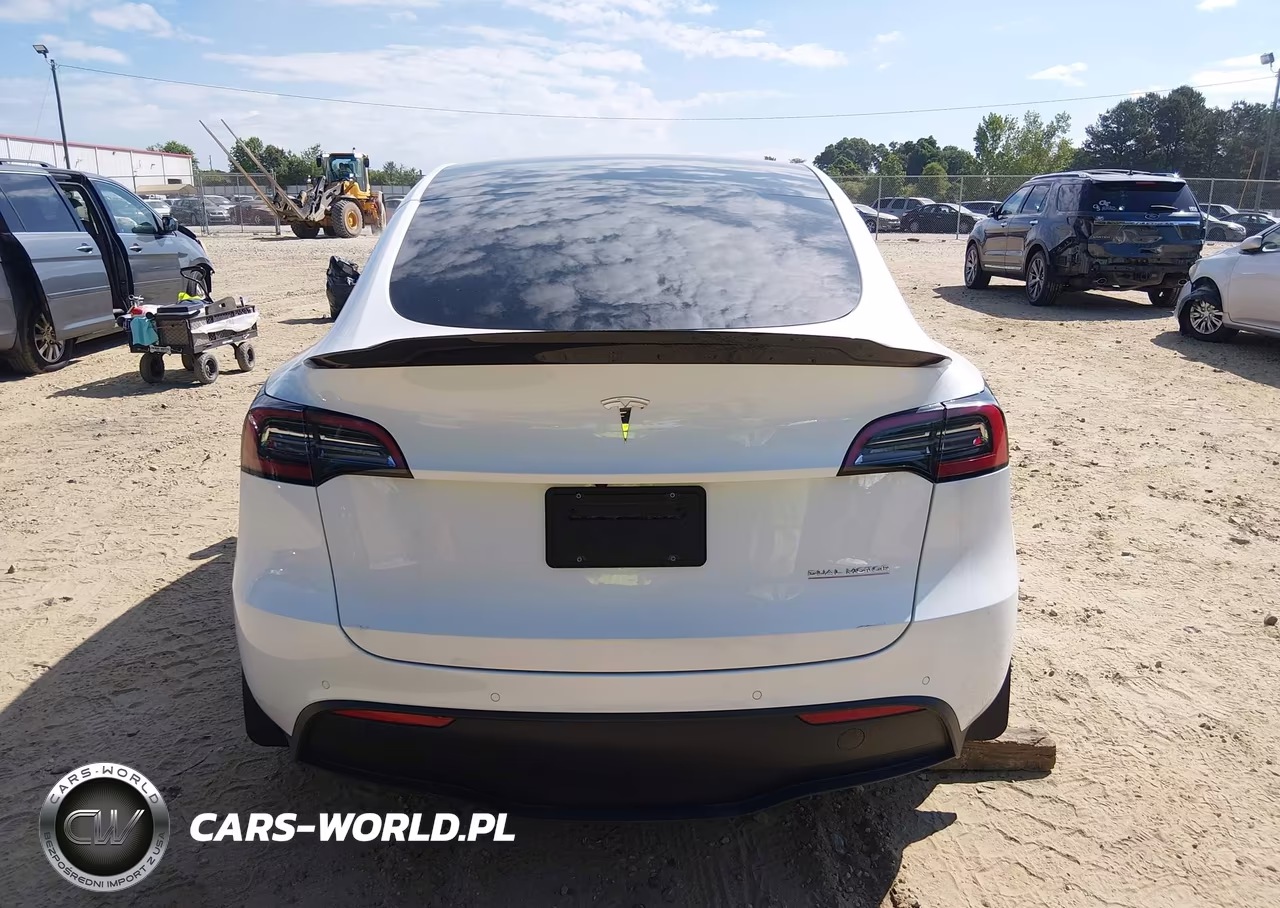 2022 Tesla Model Y Performance Dual Motor All-Wheel Drive VIN:7SAYGDEF2NF521753 - 16