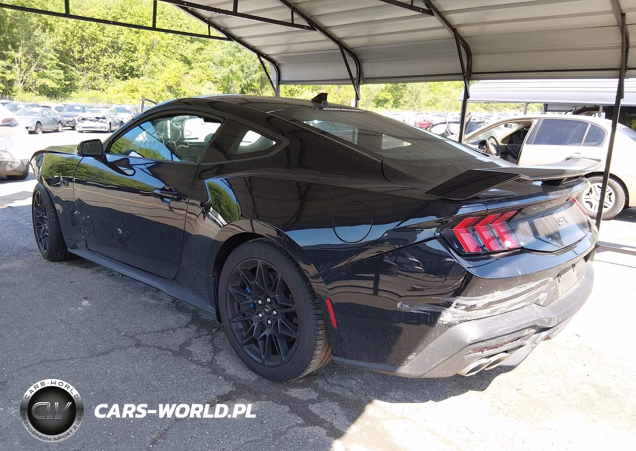 2024 Ford Mustang Gt Fastback VIN:1FA6P8CF7R5423376 - 3
