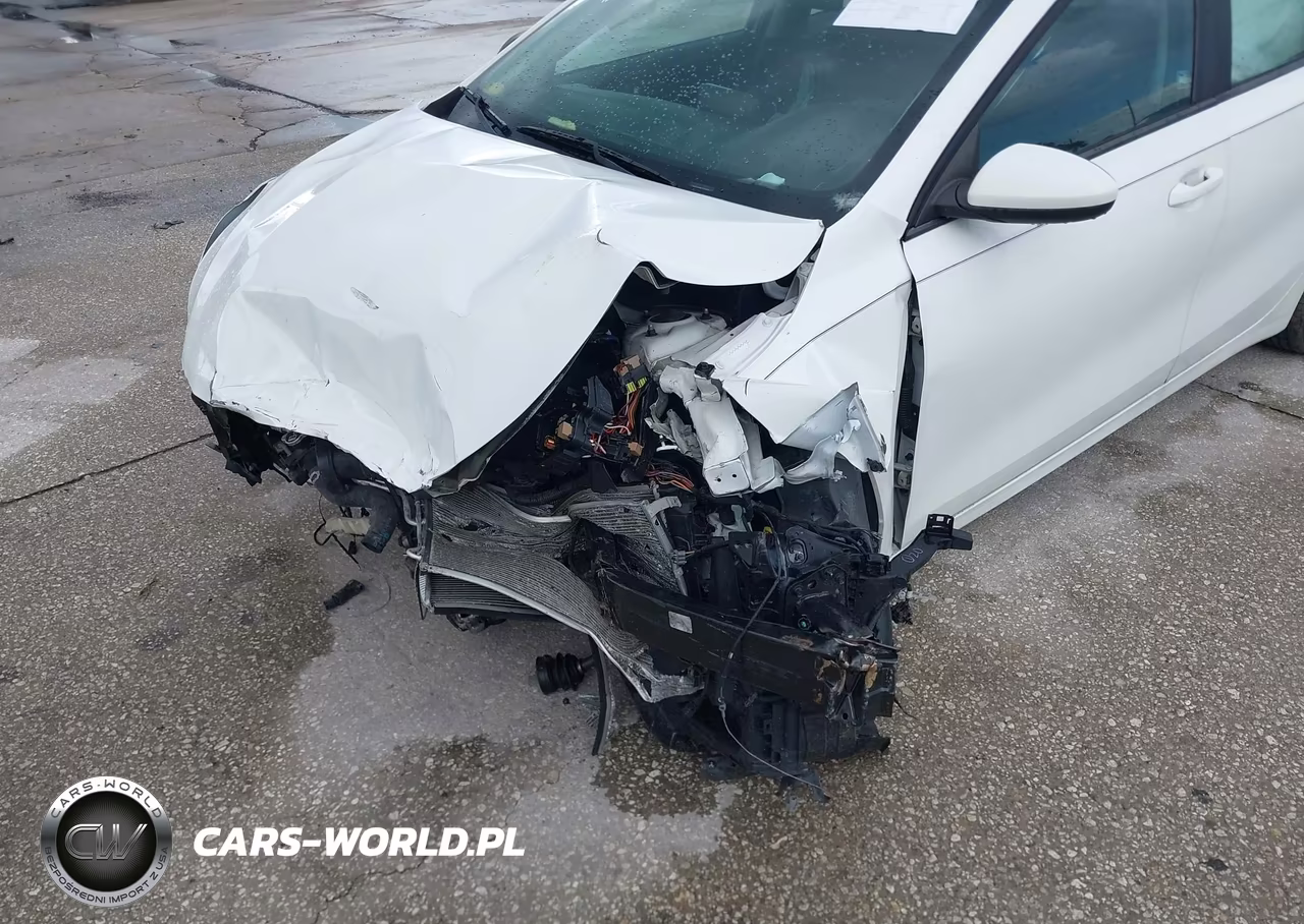 2020 Kia Forte Fe VIN:3KPF24AD8LE228434 - 6