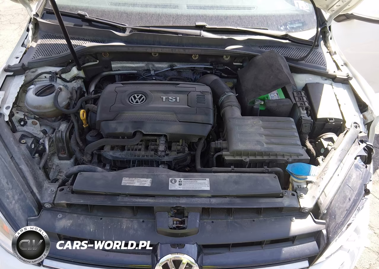 2016 Volkswagen Golf Tsi S 4-Door VIN:3VW217AU3GM038276 - 10