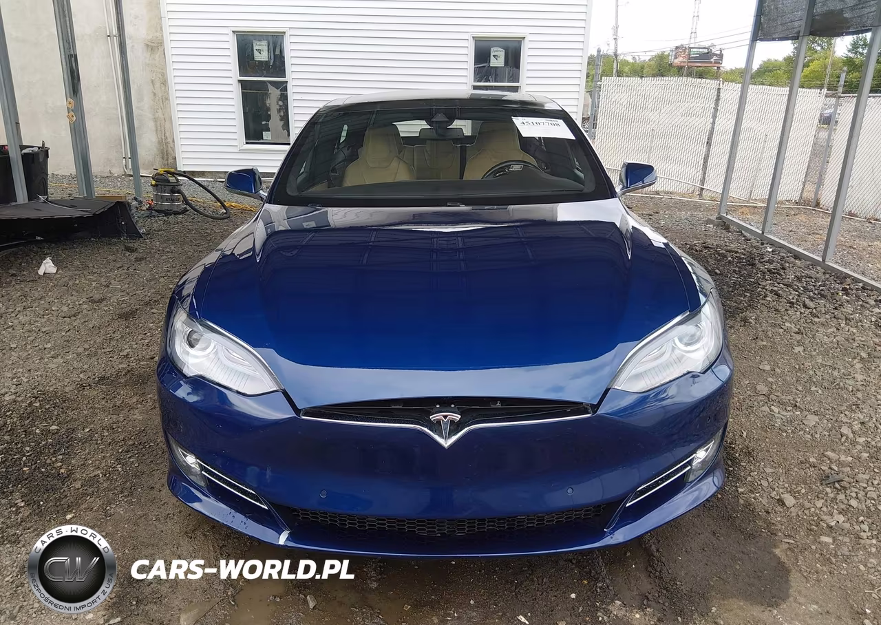 2016 Tesla Model S 90D-P100D-P85D-P90D VIN:5YJSA1E46GF122834 - 13