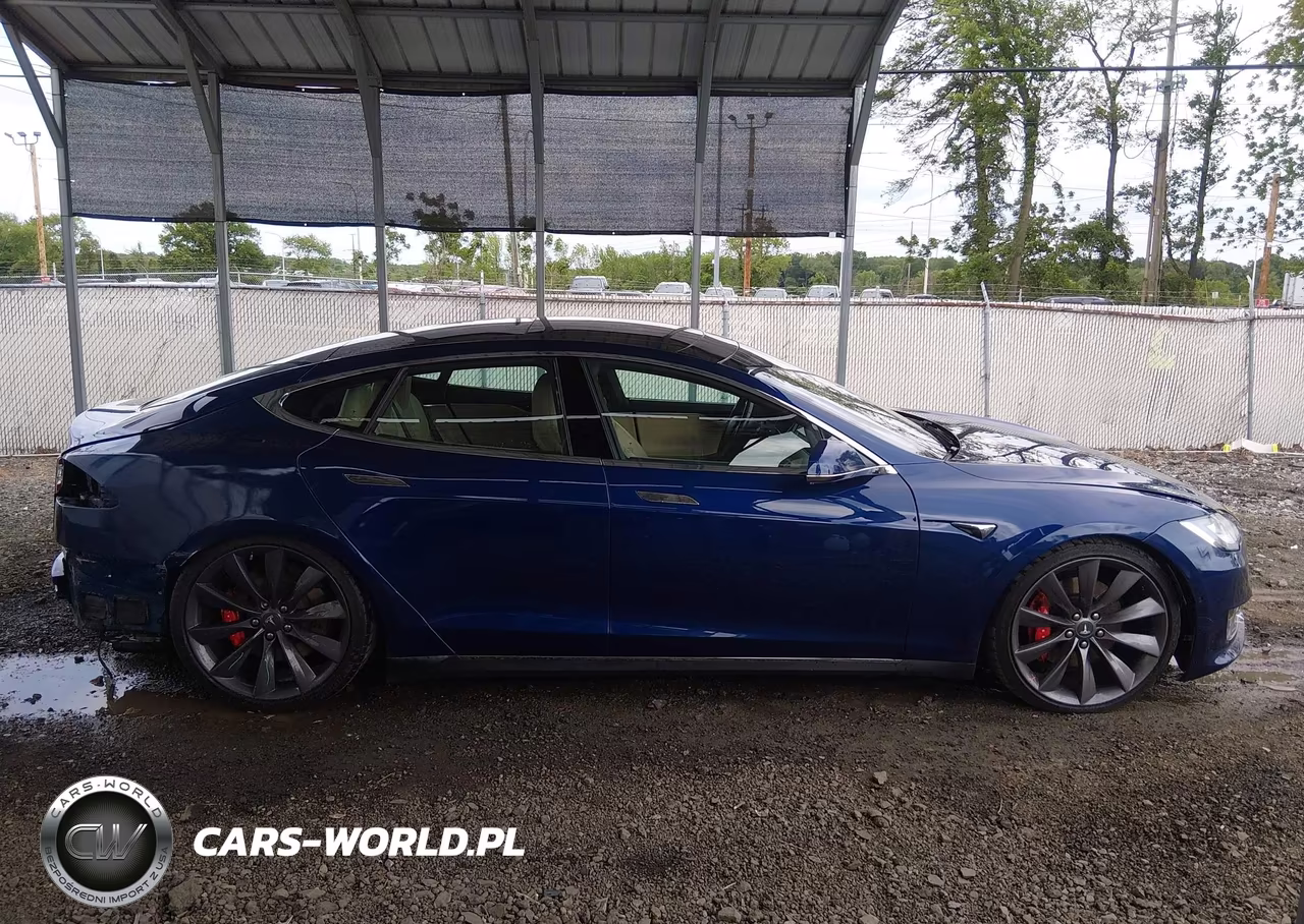 2016 Tesla Model S 90D-P100D-P85D-P90D VIN:5YJSA1E46GF122834 - 14