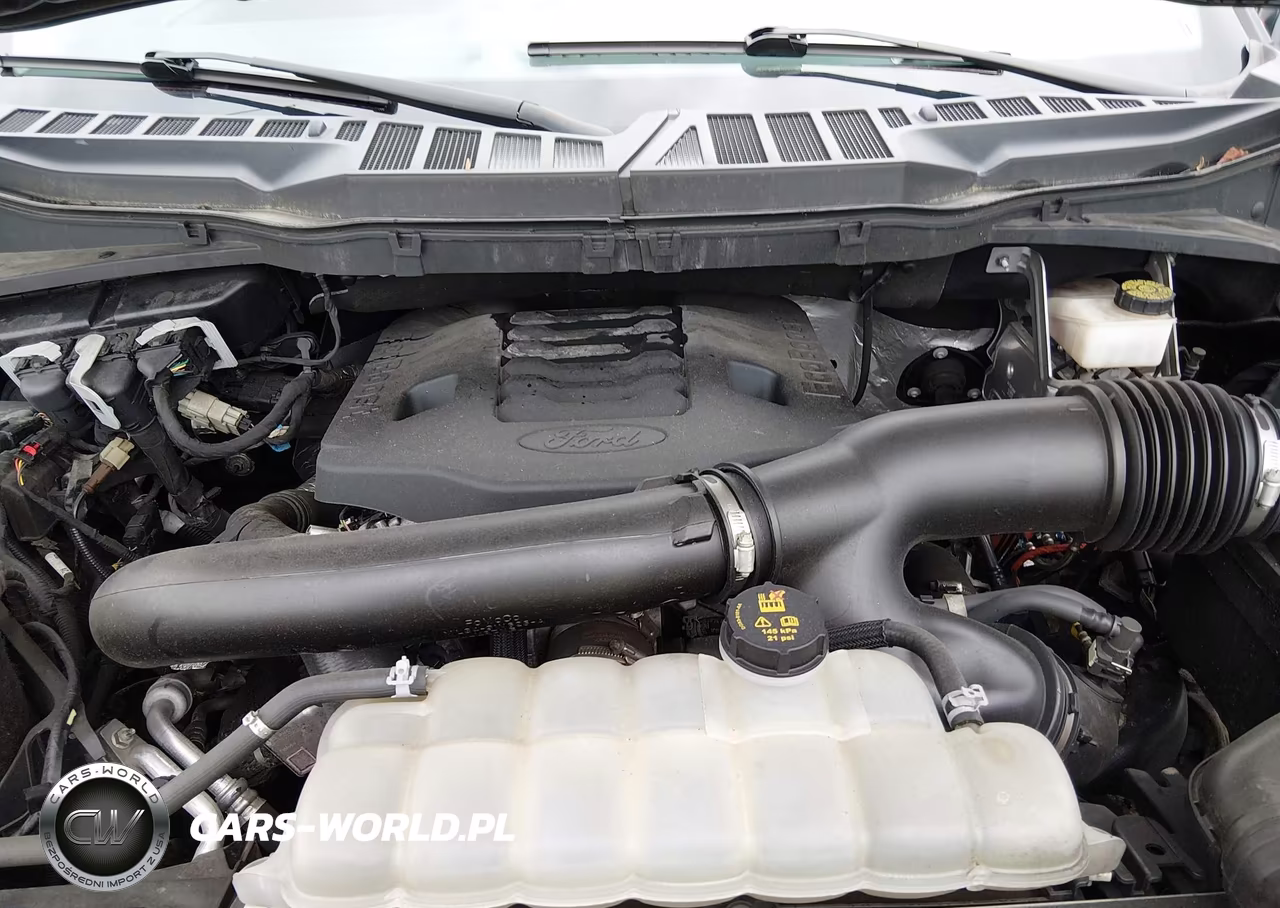 2021 Ford F-150 Xlt VIN:1FTFW1E83MFA72276 - 10