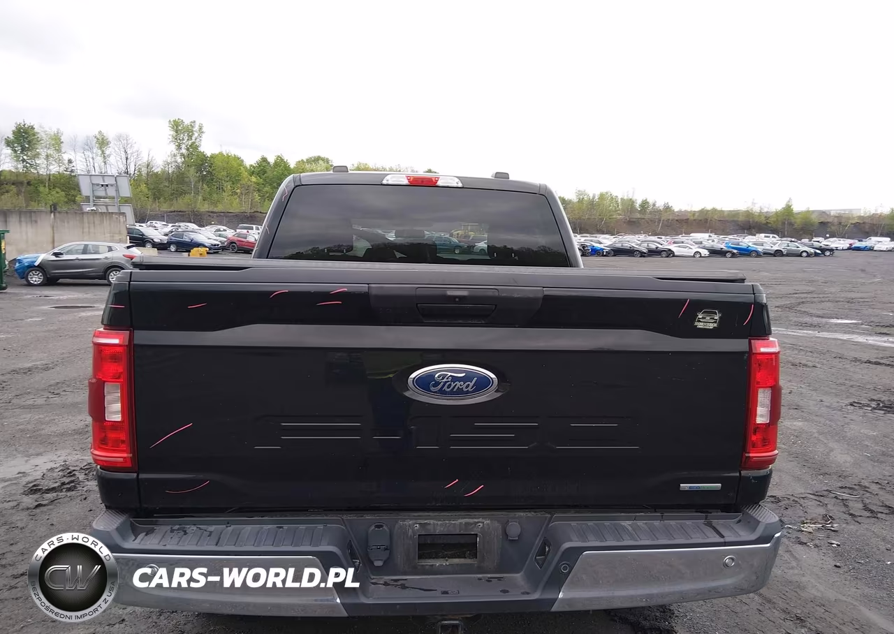 2021 Ford F-150 Xlt VIN:1FTFW1E83MFA72276 - 16