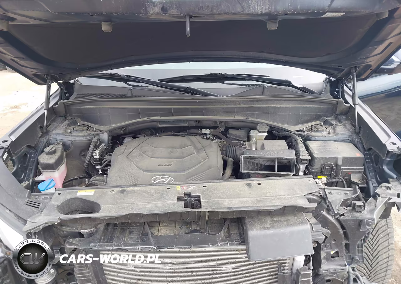 2024 Hyundai Palisade Calligraphy VIN:KM8R7DGE7RU691458 - 10