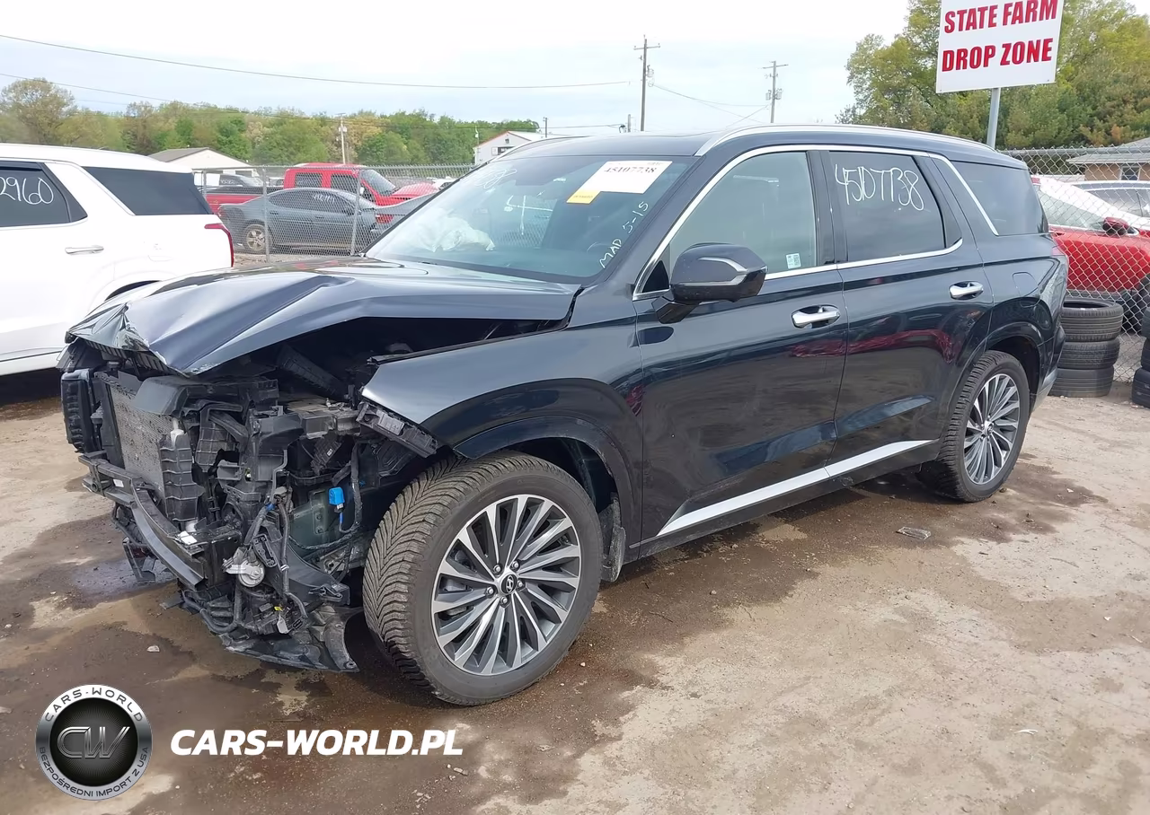 2024 Hyundai Palisade Calligraphy VIN:KM8R7DGE7RU691458 - 2