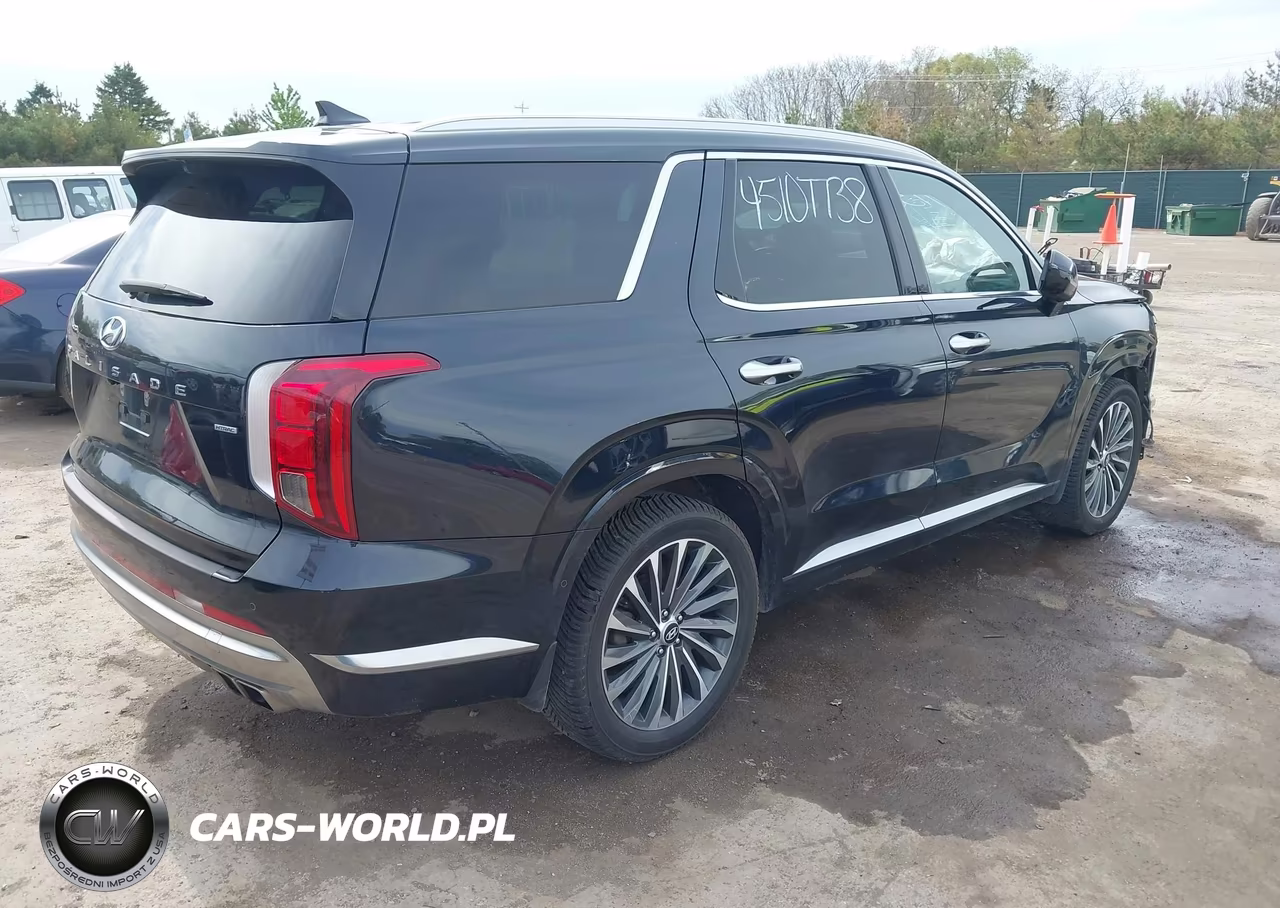 2024 Hyundai Palisade Calligraphy VIN:KM8R7DGE7RU691458 - 4